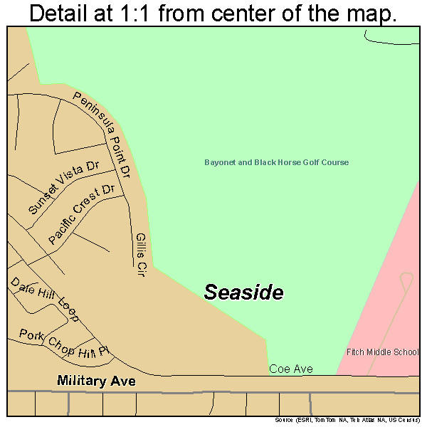 Seaside, California road map detail