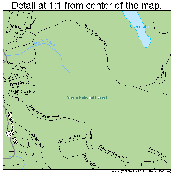 Shaver Lake, California road map detail