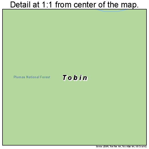 Tobin, California road map detail