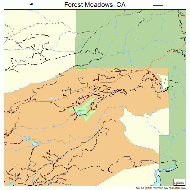 Forest Meadows, CA street map