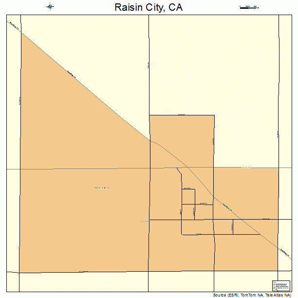 Raisin City, CA street map