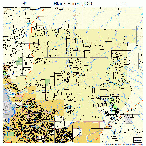 Black Forest, CO street map