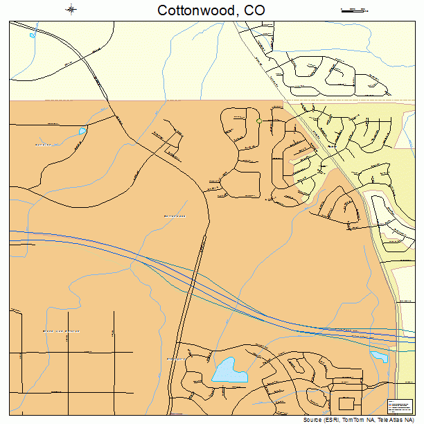 Cottonwood, CO street map