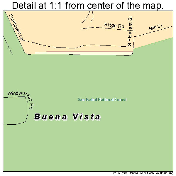 Buena Vista, Colorado road map detail