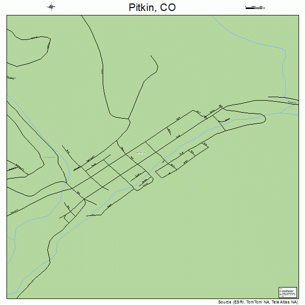 Pitkin, CO street map