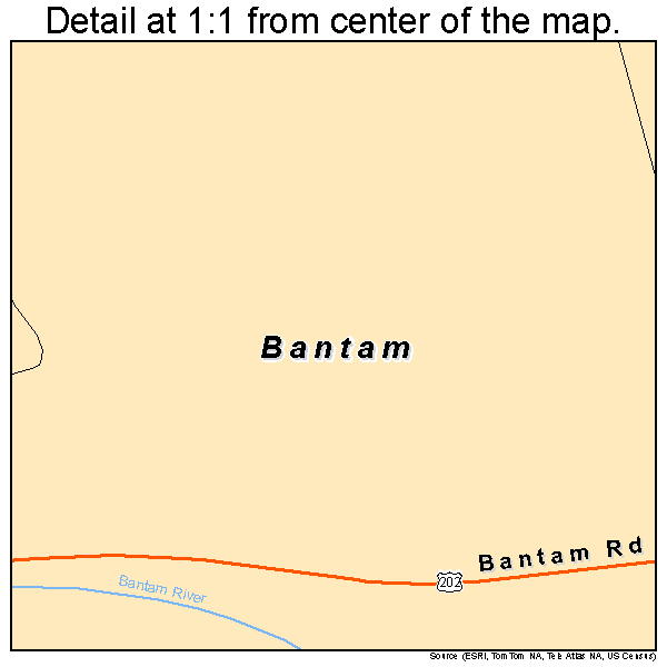 Bantam, Connecticut road map detail
