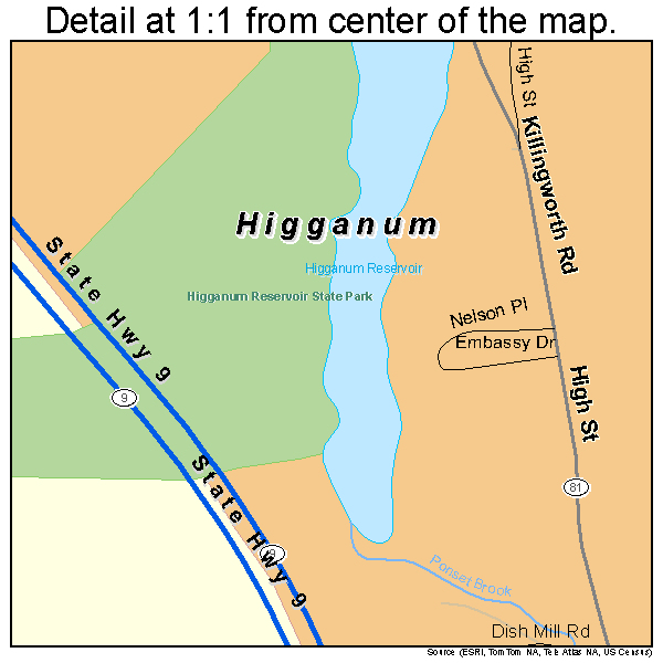 Higganum, Connecticut road map detail