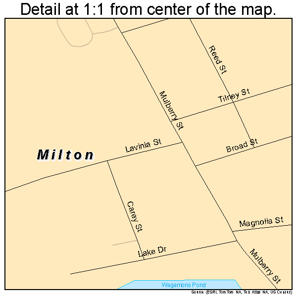 Milton, Delaware road map detail