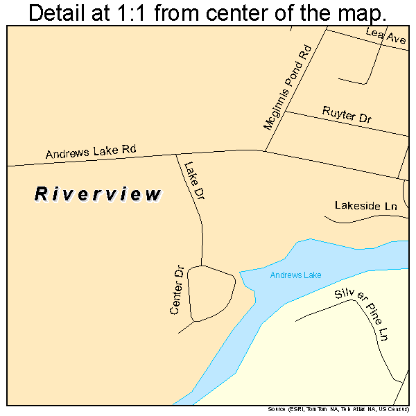 Riverview, Delaware road map detail