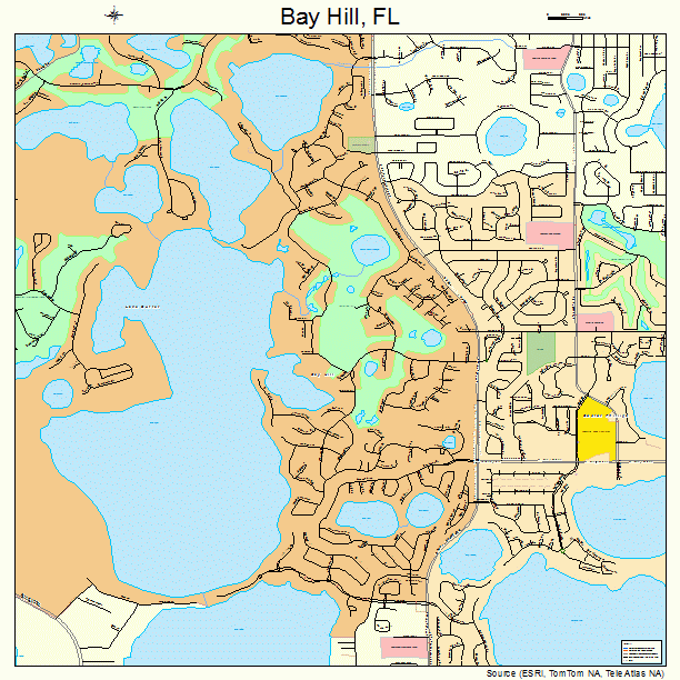 Bay Hill, FL street map