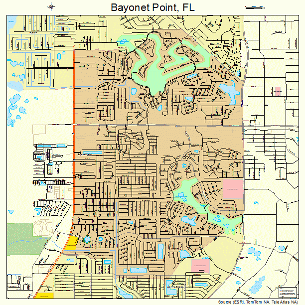 Bayonet Point, FL street map