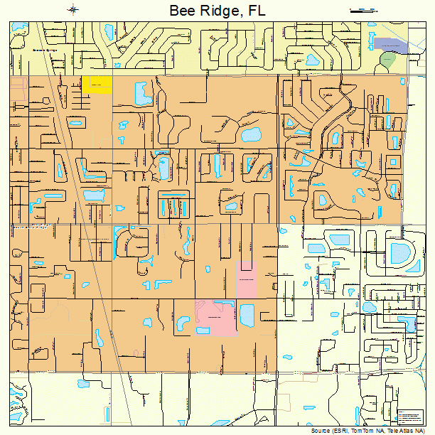 Bee Ridge, FL street map