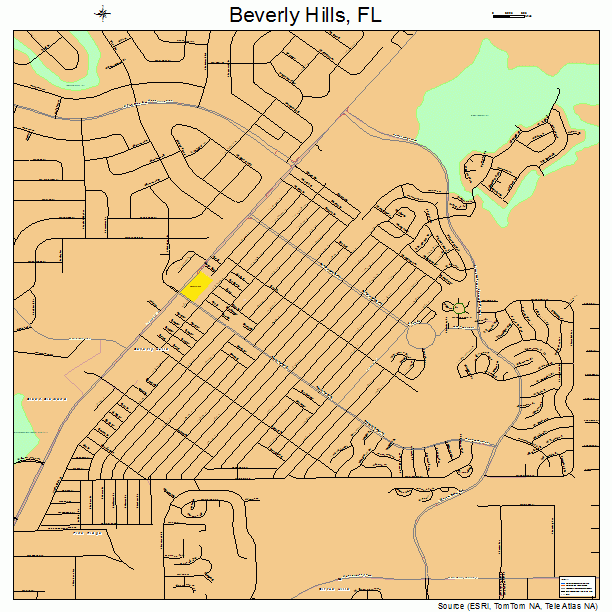 Beverly Hills, FL street map