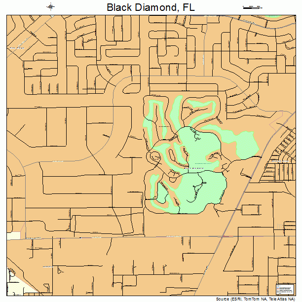 Black Diamond, FL street map