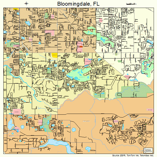 Bloomingdale, FL street map