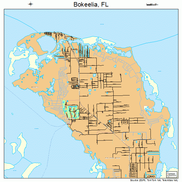 Bokeelia, FL street map