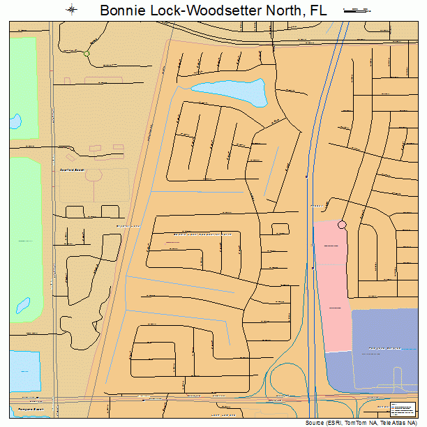Bonnie Lock-Woodsetter North, FL street map