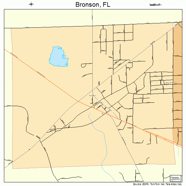 Bronson, FL street map