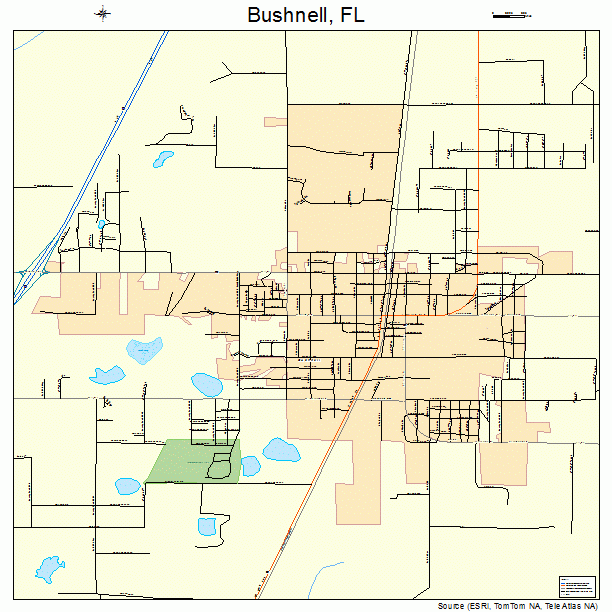 Bushnell, FL street map