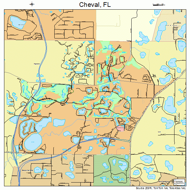 Cheval, FL street map