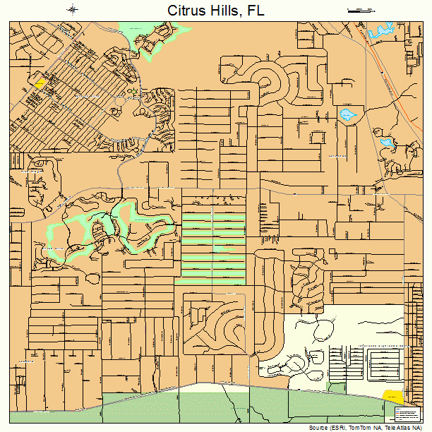 Citrus Hills, FL street map