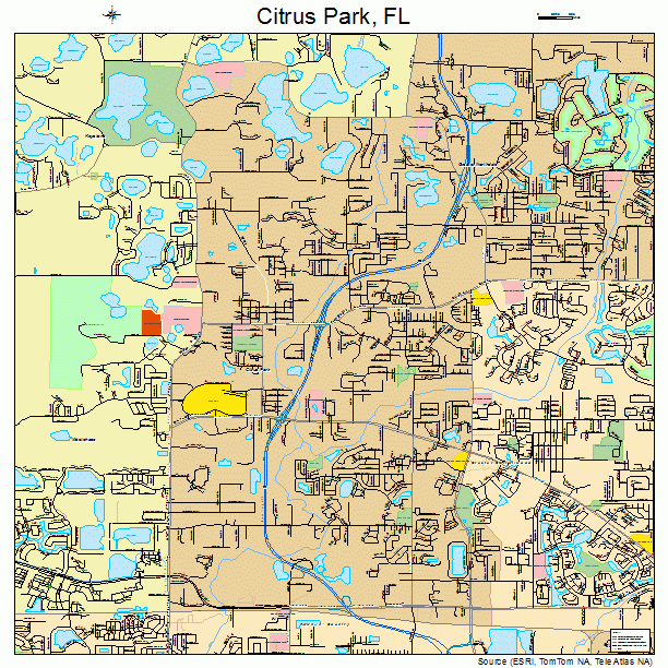 Citrus Park, FL street map