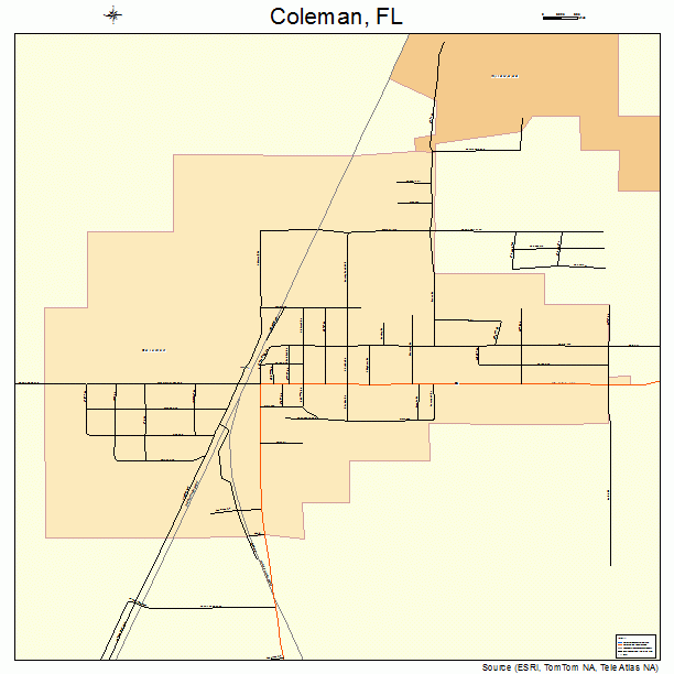 Coleman, FL street map