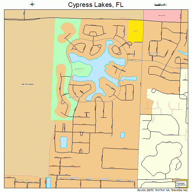 Cypress Lakes, FL street map