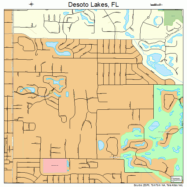 Desoto Lakes, FL street map
