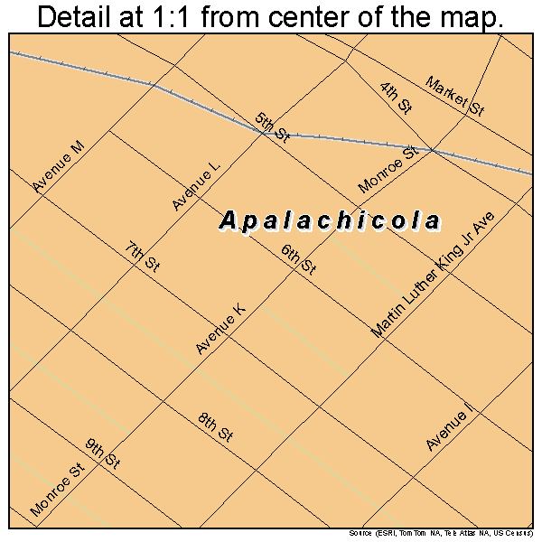 Apalachicola, Florida road map detail