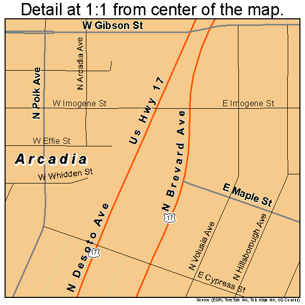 Arcadia, Florida road map detail
