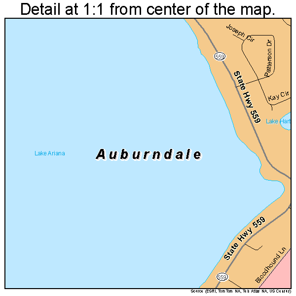 Auburndale, Florida road map detail