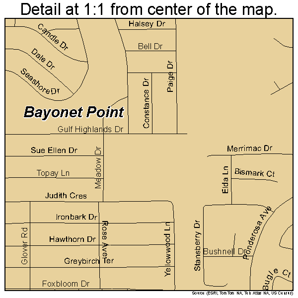 Bayonet Point, Florida road map detail