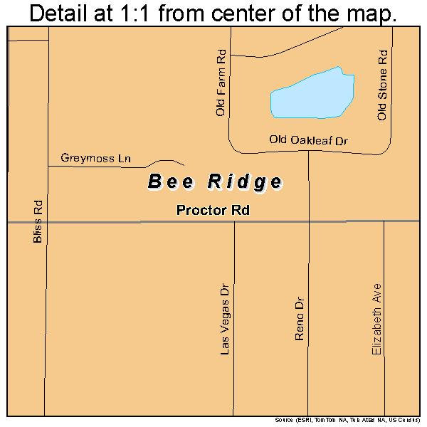 Bee Ridge, Florida road map detail