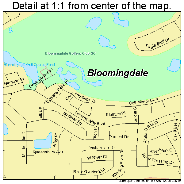 Bloomingdale, Florida road map detail