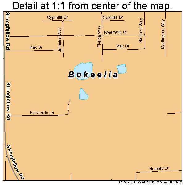 Bokeelia, Florida road map detail