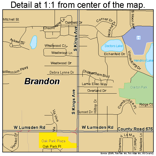 Brandon, Florida road map detail