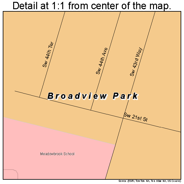 Broadview Park, Florida road map detail