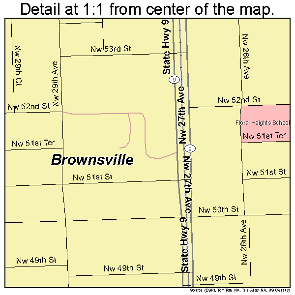 Brownsville, Florida road map detail