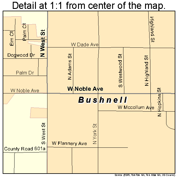 Bushnell, Florida road map detail