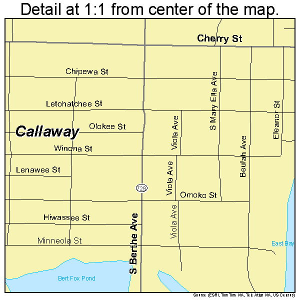 Callaway, Florida road map detail