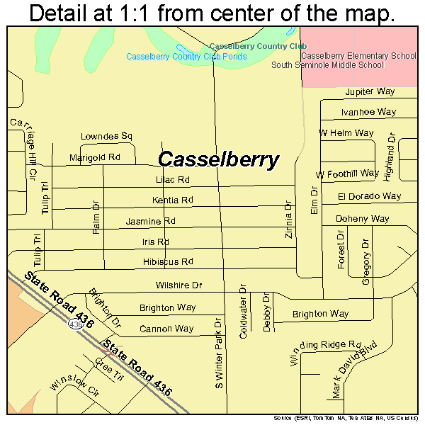 Casselberry Florida Street Map 1211050 