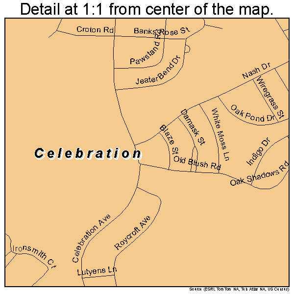 Celebration, Florida road map detail