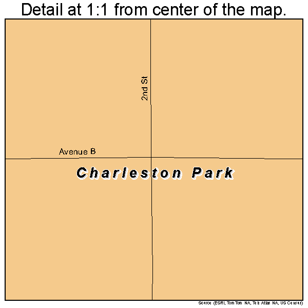 Charleston Park, Florida road map detail