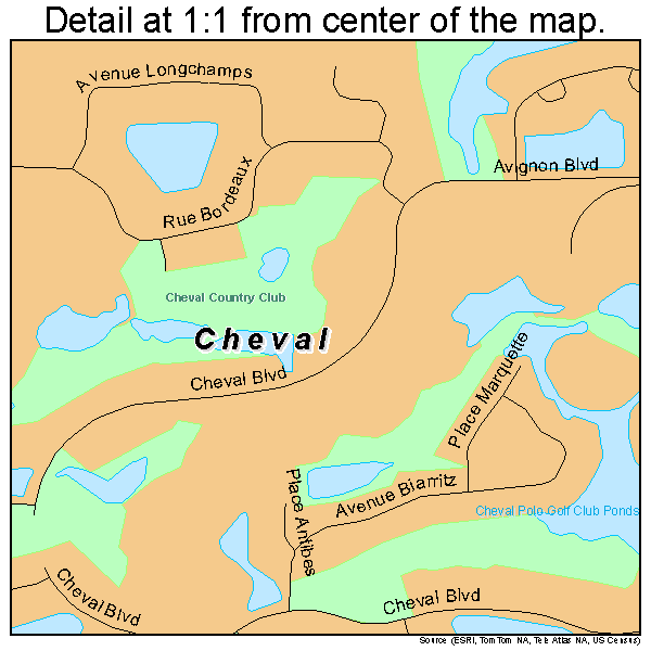 Cheval, Florida road map detail