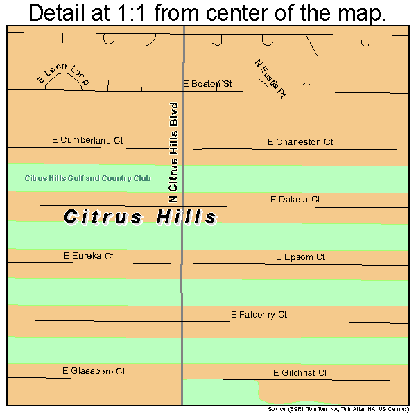 Citrus Hills, Florida road map detail