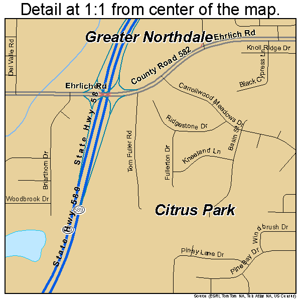 Citrus Park, Florida road map detail