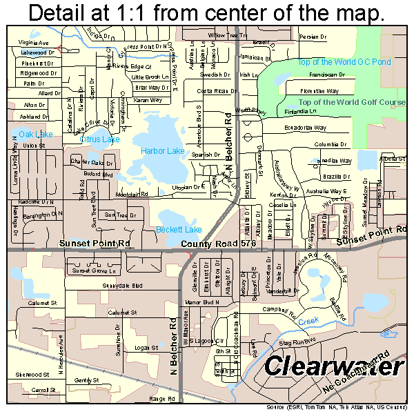 Clearwater, Florida road map detail