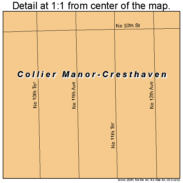 Collier Manor-Cresthaven, Florida road map detail