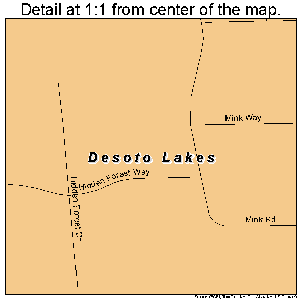 Desoto Lakes, Florida road map detail
